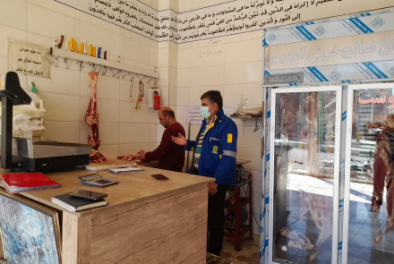 بازدید مشترک