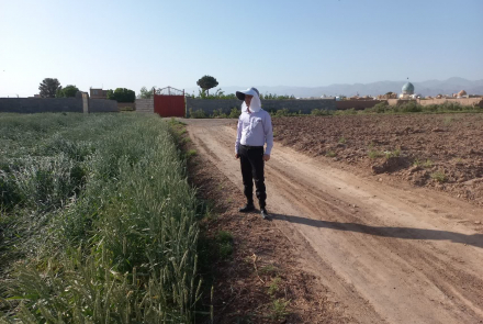 سالک