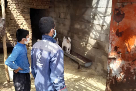 سمپاشی سالک