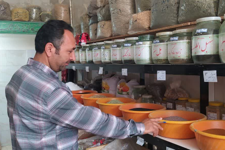 بازدید مشترک