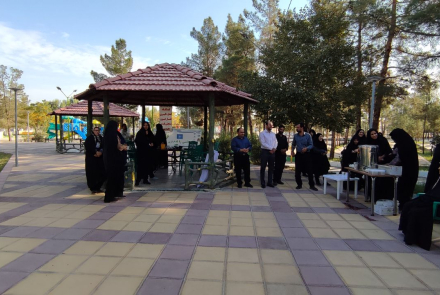 همایش پیاده روی