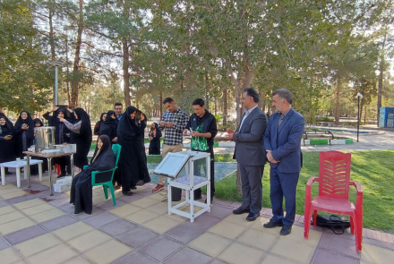 همایش پیاده روی