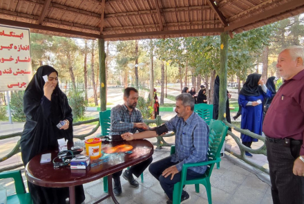 همایش پیاده روی