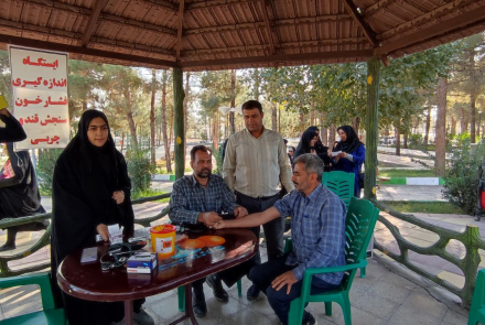 همایش پیاده روی