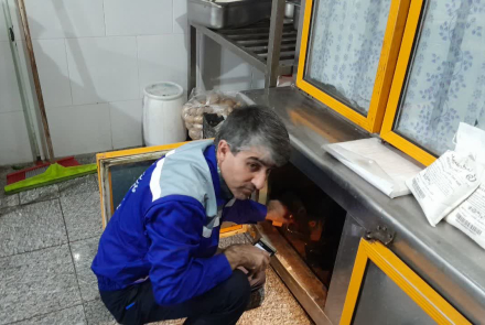 طرح ضربت