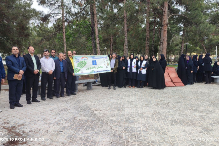 پیاده روی